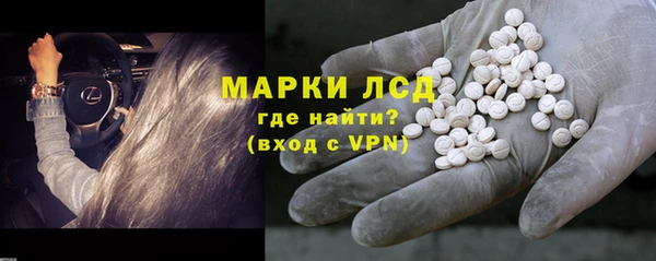 сатива Магас