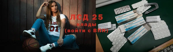 сатива Магас