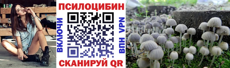Галлюциногенные грибы GOLDEN TEACHER  Кисловодск 
